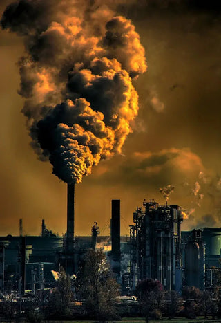 How Smog And Air Pollution Damage Your Skin