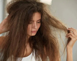 Dry Hair: You’ve Been Lied To. Here’s Your Ultimate Science-Based Guide To Dry Hair