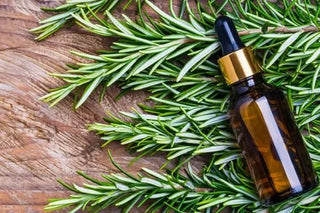 Rosemary oil AccuFix Cosmetics