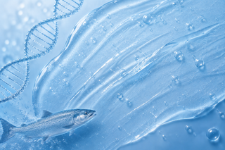 What Is PDRN? The Complete Guide to Salmon DNA Skincare in Pakistan